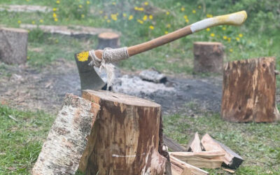 At bruge vrede konstruktivt som facilitator i projekt ”Fodfæste gennem naturen”