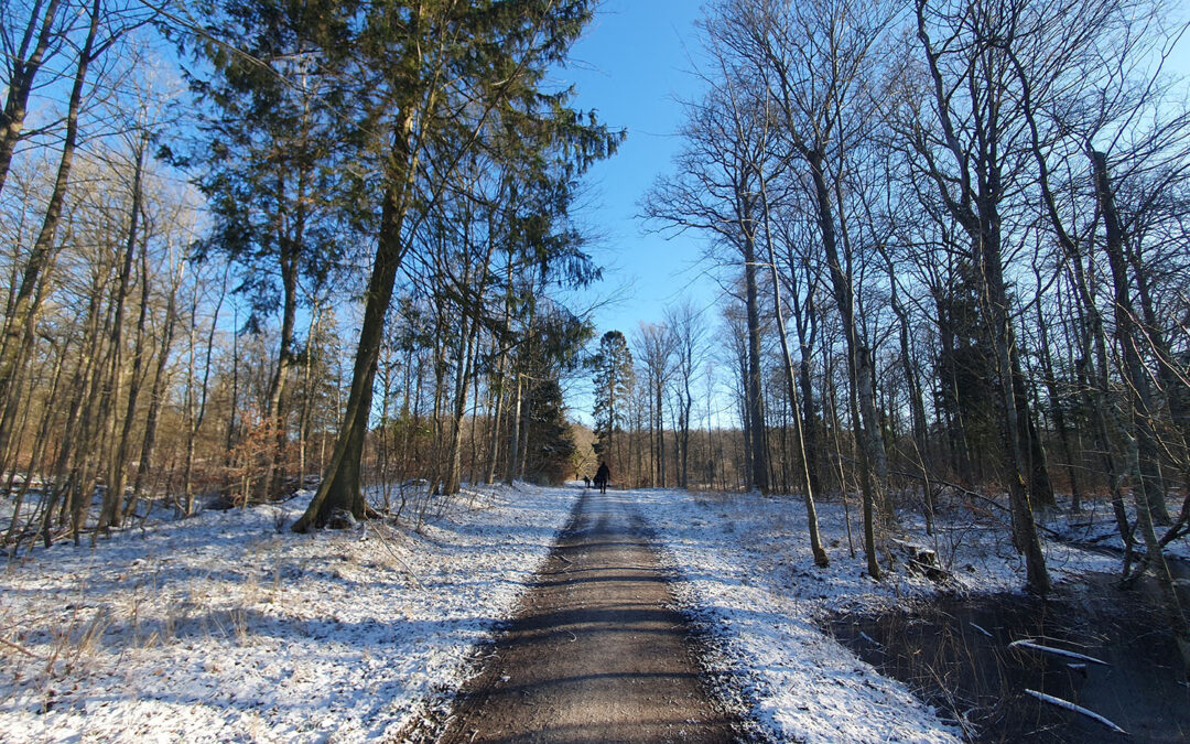 Min gamle bedstemor ville elske at få dig på besøg!