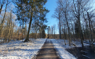 Min gamle bedstemor ville elske at få dig på besøg!