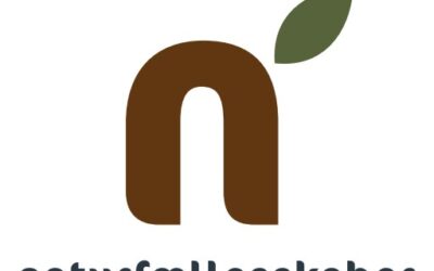 Efterværn: Broen mellem indsatser