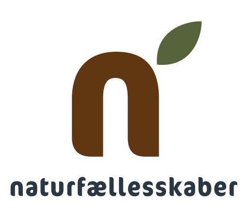 Efterværn: Broen mellem indsatser