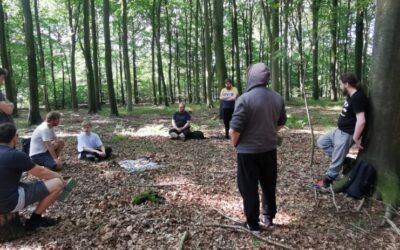 HVORDAN KAN VI ARBEJDE MED EFFEKTINVESTERING PÅ UNGEOMRÅDET?